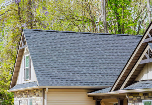Best Solar Panel Roofing Installation  in Ellinwood, KS