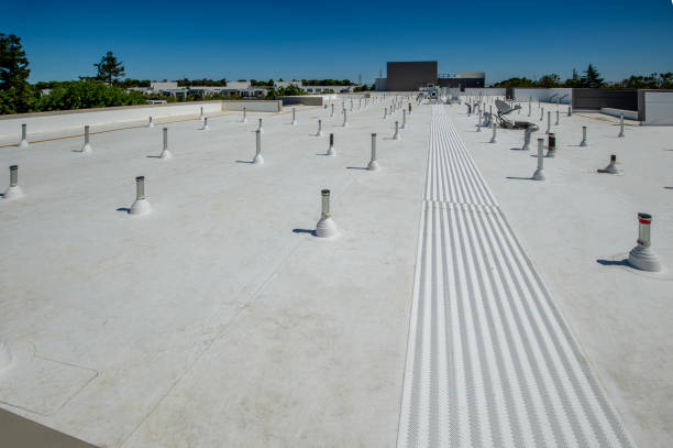Best Roof Leak Repair  in Ellinwood, KS